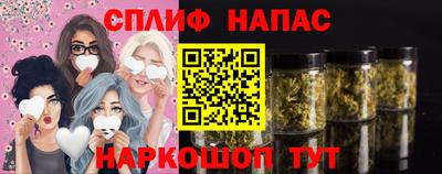стафф Краснодар