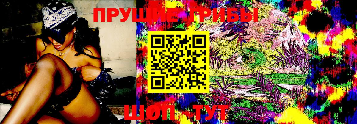 Галлюциногенные грибы MAGIC MUSHROOMS Киров
