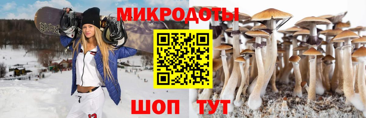 Галлюциногенные грибы мухоморы  Вход с VPN  Киров  даркнет сайт  Псилоцибиновые грибы Psilocybine cubensis 